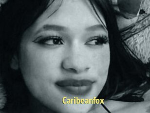 Caribeanfox