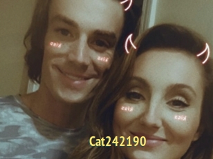 Cat242190