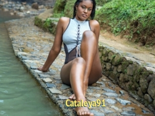 Cataleya91