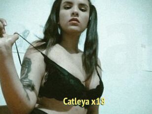Catleya_x18