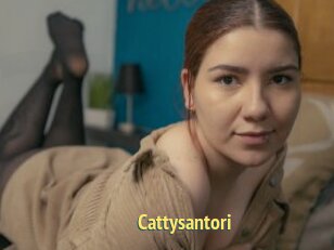 Cattysantori