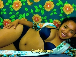 Cindybarnes