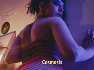 Cosmosis