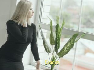 Crocus