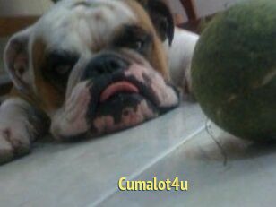 Cumalot4u