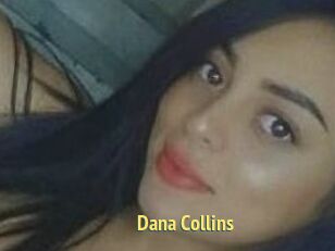 Dana_Collins