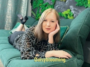 Daisyblooming