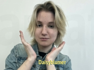 Daisyblumer