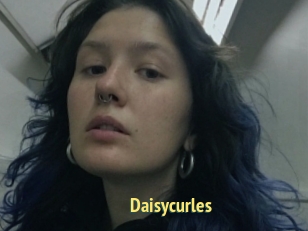Daisycurles