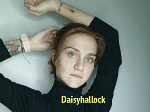 Daisyhallock