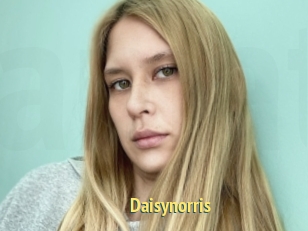 Daisynorris