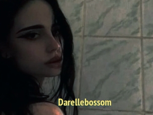 Darellebossom