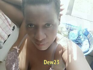 Dew23