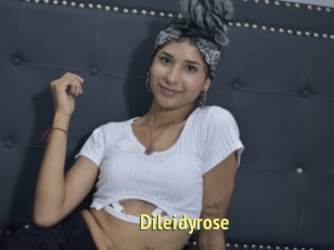 Dileidyrose