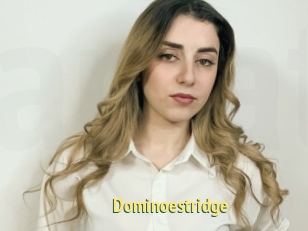 Dominoestridge