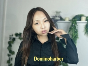 Dominoharber