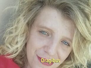 Dragibus