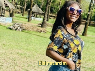 Elainecarsim