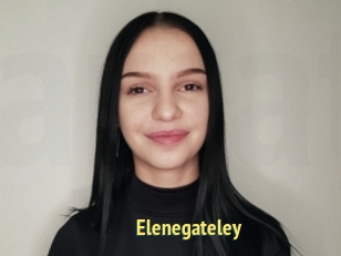 Elenegateley
