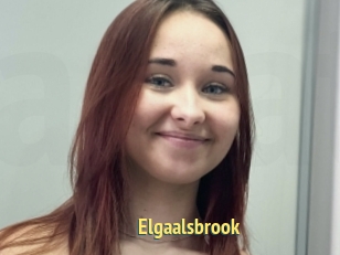 Elgaalsbrook
