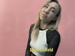 Elgacornfield