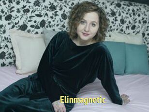 Elinmagnetic