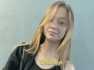 Elvabigge
