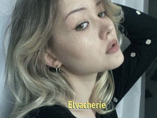 Elvacherie