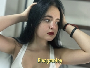 Elvagateley