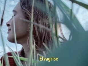 Elvagrise