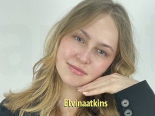 Elvinaatkins