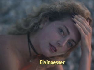 Elvinaesser