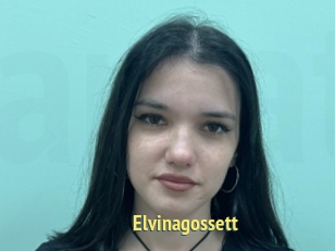Elvinagossett
