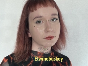 Elwinebuskey