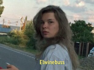 Elwinebuss