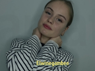 Elwinegambee