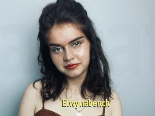 Elwynabench
