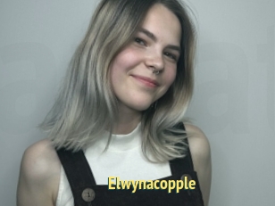 Elwynacopple