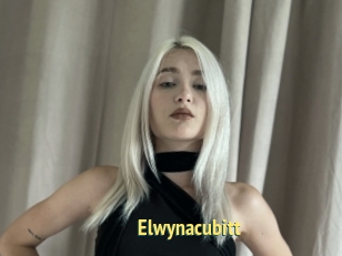 Elwynacubitt
