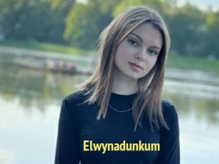 Elwynadunkum