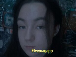 Elwynagapp