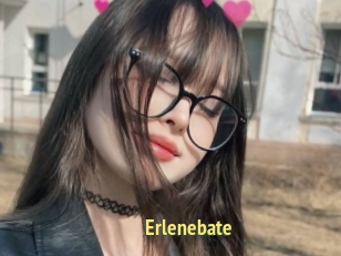 Erlenebate
