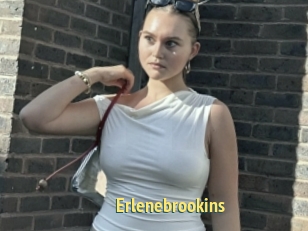 Erlenebrookins