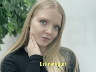 Erlinafugler