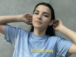 Erlinagrandy