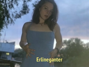Erlineganter