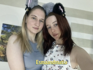 Esmaandmatia