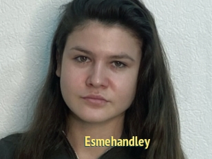 Esmehandley