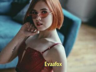 Evaafox