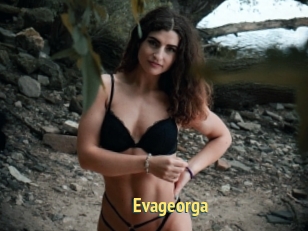 Evageorga